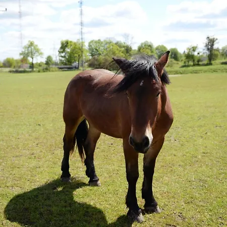 Inn Ranczo W Dolinie *