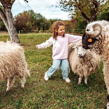 Ranczo W Dolinie Inn