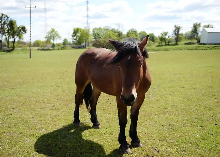 Inn Ranczo W Dolinie *