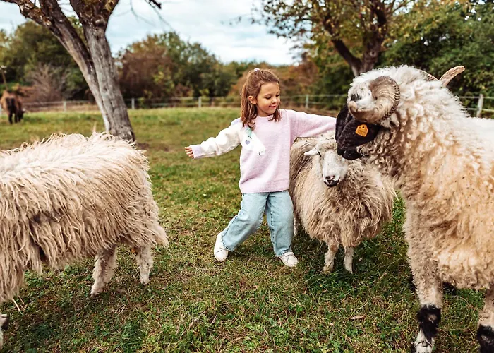 Ranczo W Dolinie Inn